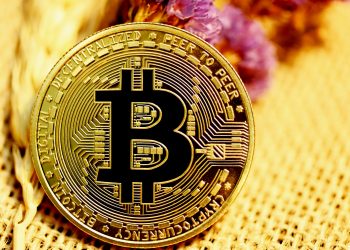 BTC меме токен