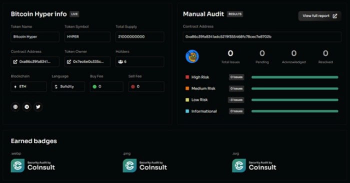 CoinSult audit results