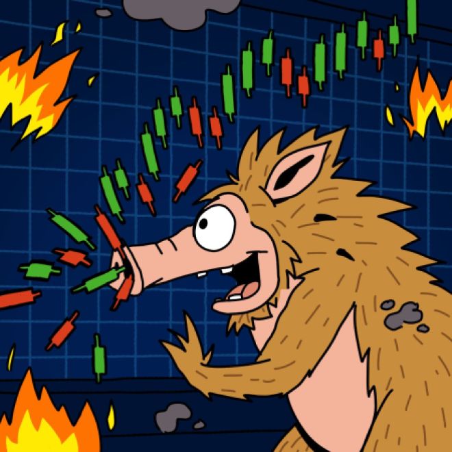 Snorter prognozy bot handlowy świece wykres