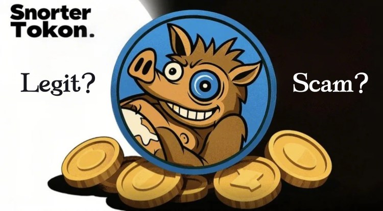 Apakah Snorter Token Legit atau Scam - Token Snort