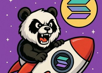 Solana價格因ETF飆升 新SOL幣在ICO中籌集120萬美元下個百倍迷因幣!