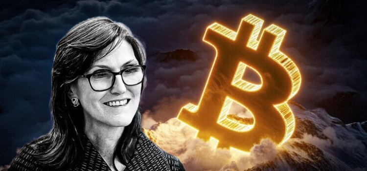 cathie wood i bitcoin