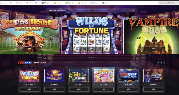 2. Lošimo automatų pasirinkimas