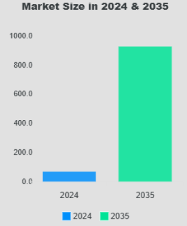 Meme coin market size in 2024 and 2035.