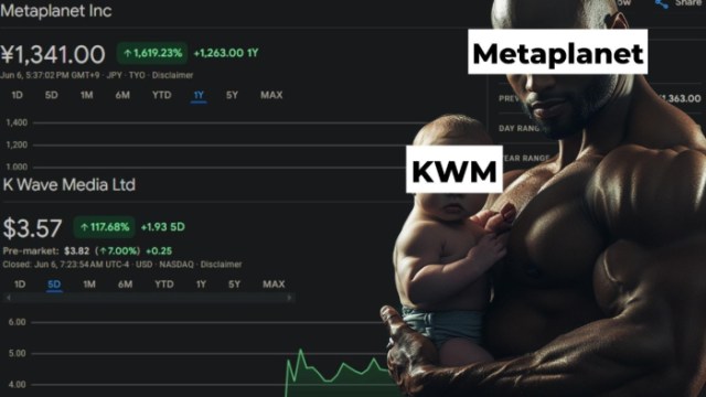 Metaplanet and K Wave price performance meme