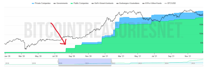 Michael Saylor Bitcoin Purchase 2020