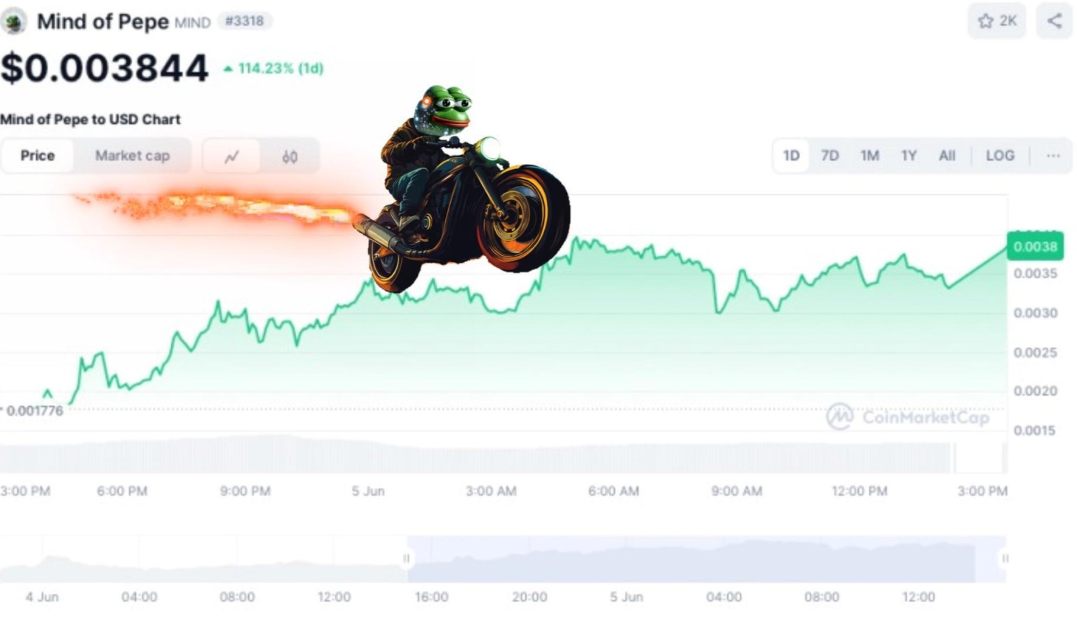 harga mind of pepe