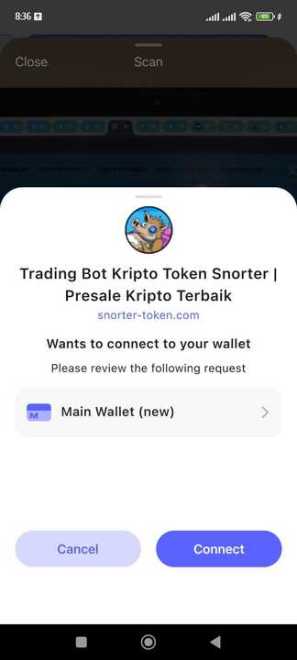 Apakah Snorter Token Legit atau Scam - Hubungkan Best Wallet