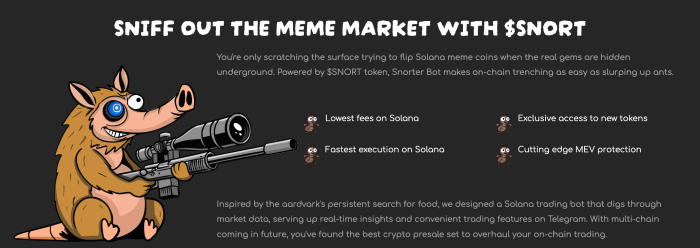 Snorter Token benefits as illustrated on the presale website.