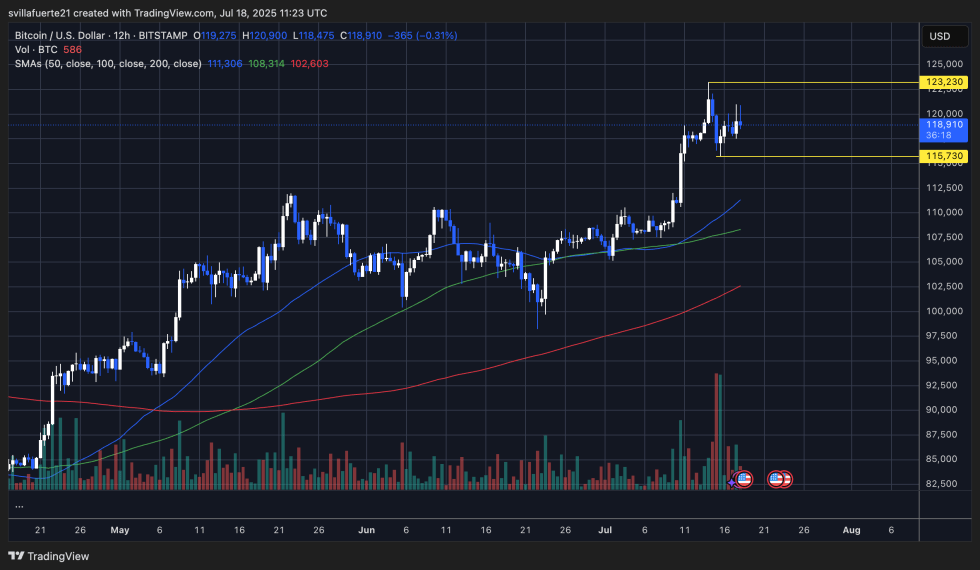 BTC Consolidates Below $120K | Source: BTCUSDT chart on TradingView