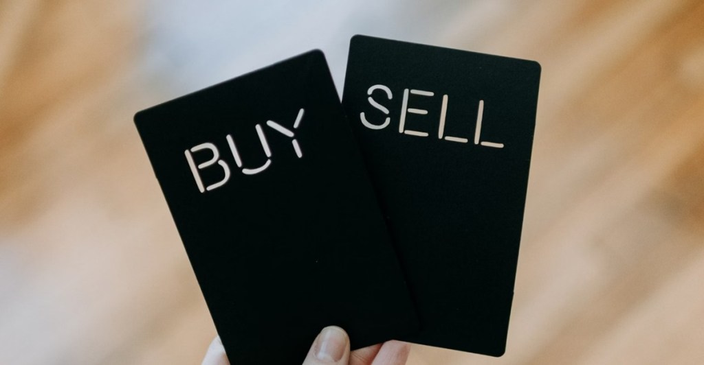 Bezpieczeństwo podczas zakupu i trzymania Shiba Inu