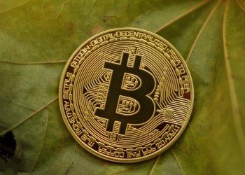 После $100 млн убытков: BTC-трейдер открывает новые позиции
