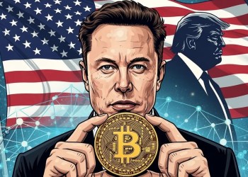 Elon Musk bitcoin