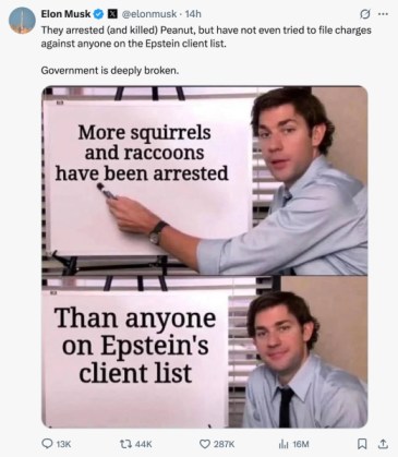 Musk's reference to Peanut the Squirrel.