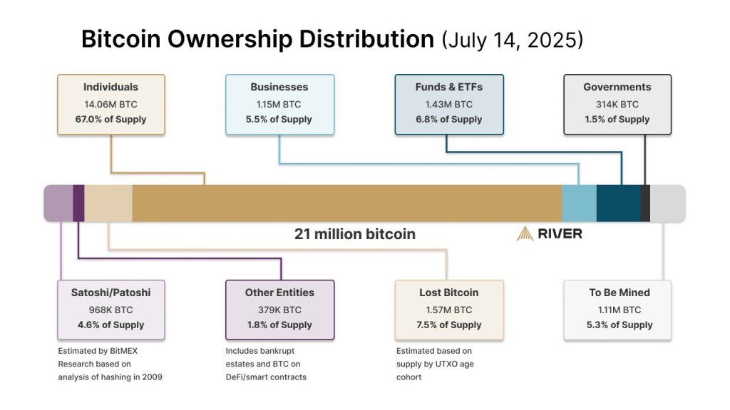 Bitcoin ownership distribution