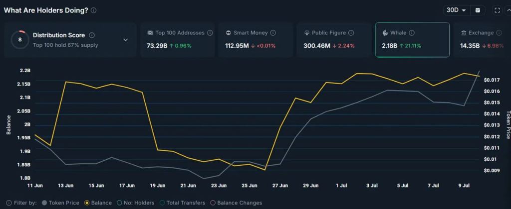 ผู้ถือรายใหญ่เพิ่มการถือครอง PENGU ขึ้น 21%