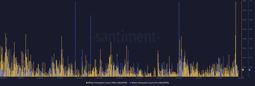 Pepe whale transacties, Santiment