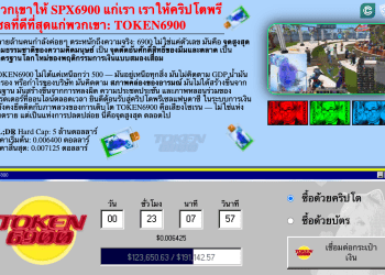 TOKEN6900 เหรียญใหม่ ไร้ Utility แต่มาแรงอย่างไม่น่าเชื่อ