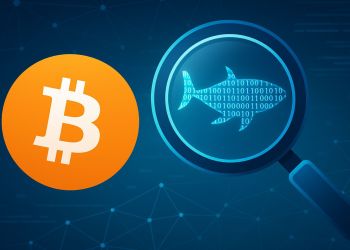 80K Bitcoin Whale Identity Uncovered? MyBitcoin Wallets Linked To Recent Transfer