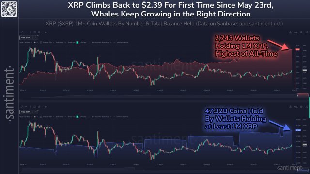 XRP