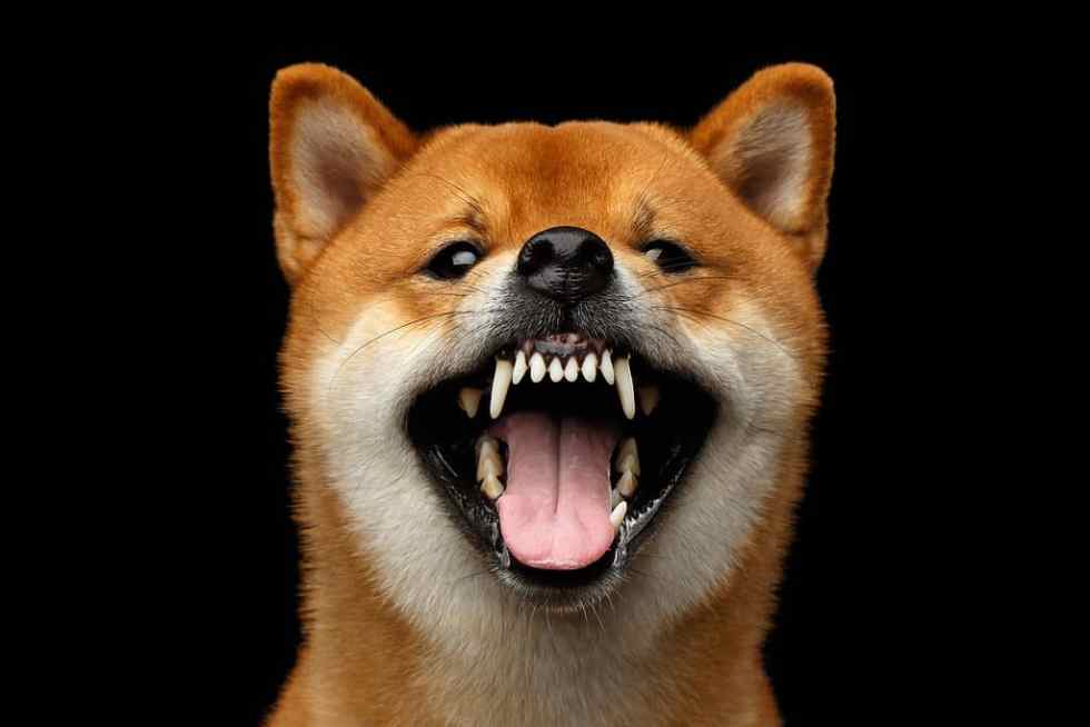 Dogecoin