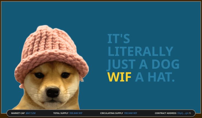 dogwifhat ($WIF) - it’s literally just a dog wif a hat