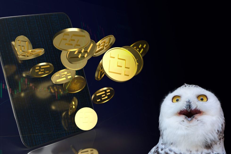 meme coins 2