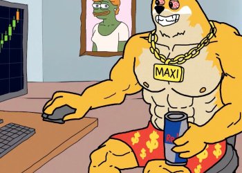 맥시 도지