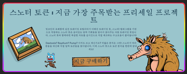 스노터 토큰