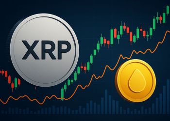 XRP価格予測：リップル 今後 を専門家はToken6900の急成長ポテンシャルと比較