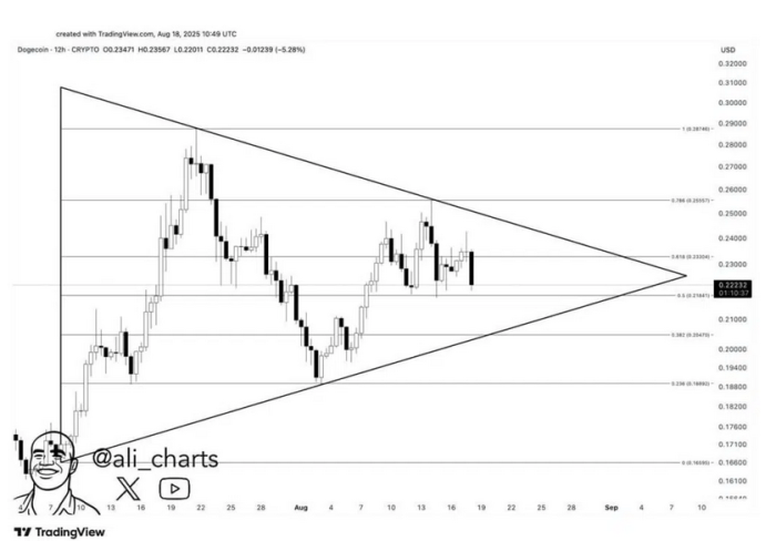 Crypto analyst, Ali on X Source: @ali_charts on X