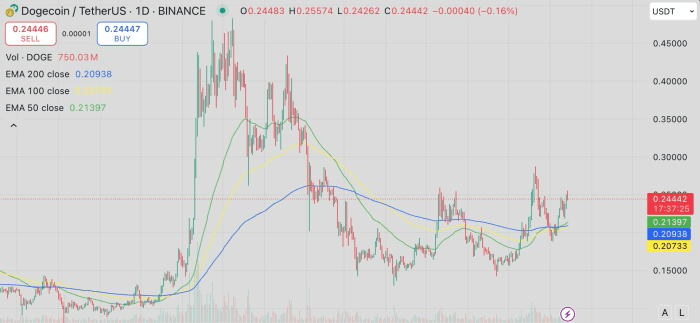 Dogecoin / TetherUS price chart with 50, 100, and 200 EMA.