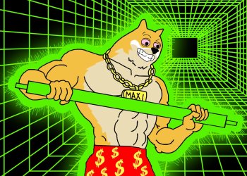 Maxi Doge