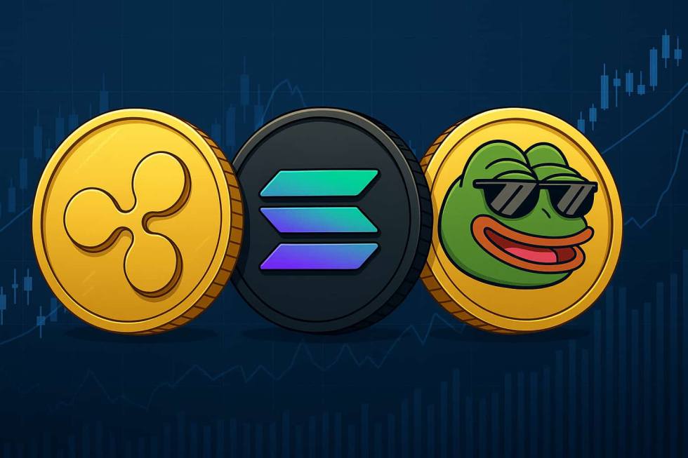 potential-coins-snorter-solana-2025