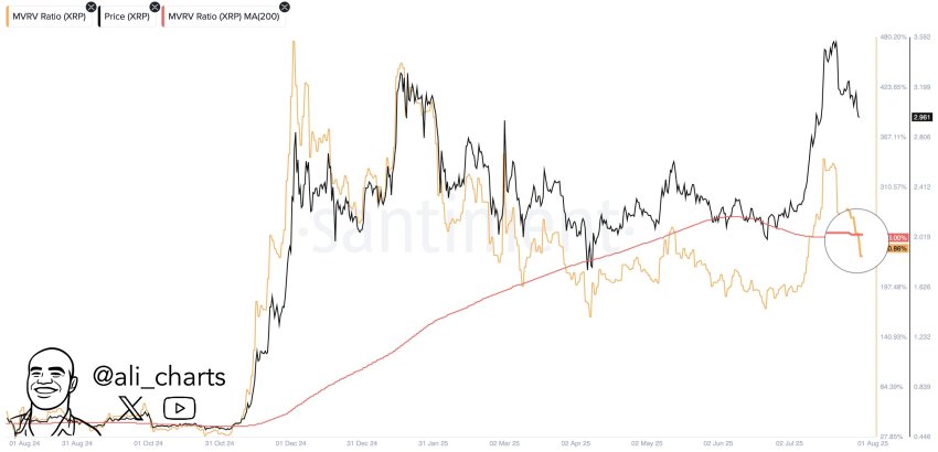 XRP koers, Ali Martinez, TradingView