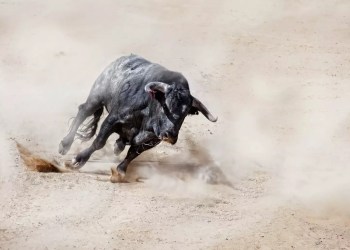 crypto