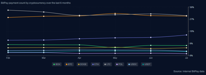 Bitpay Transaction share chart.