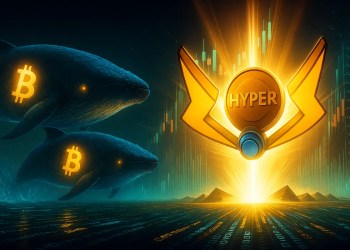 Bitcoin Hyperを注目するBTCクジラと仮想通貨おすすめ1000倍の未来