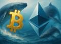 veľryby presúvajú kapitál z BTC na Ethereum