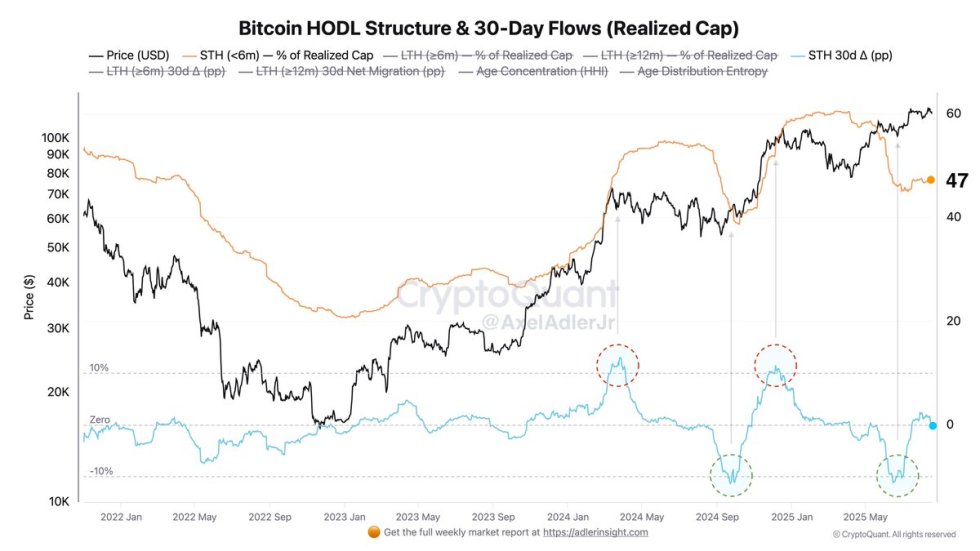 Bitcoin HODL Structure & 30-Day Flows | Source: Axel Adler