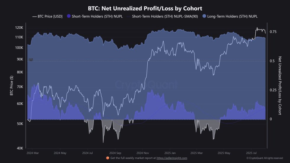 Bitcoin Net Unrealized PnL by Cohort | Source: CryptoQuant