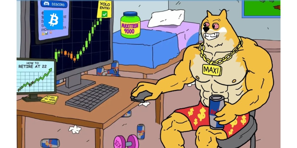 comprare maxi doge - cover