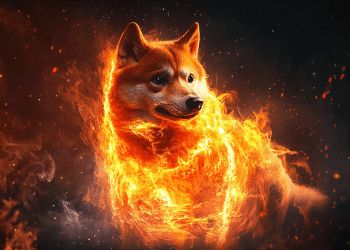 prevente-maxi-doge-2025