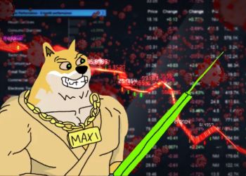 maxi doge