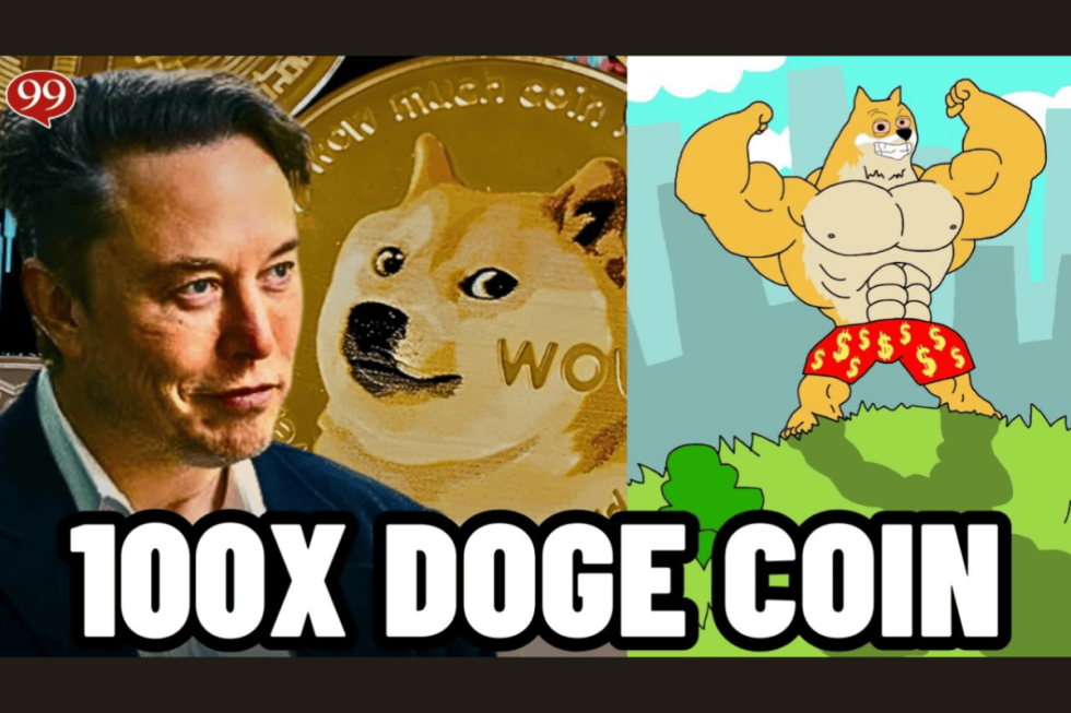 maxi doge musk