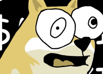 maxi doge