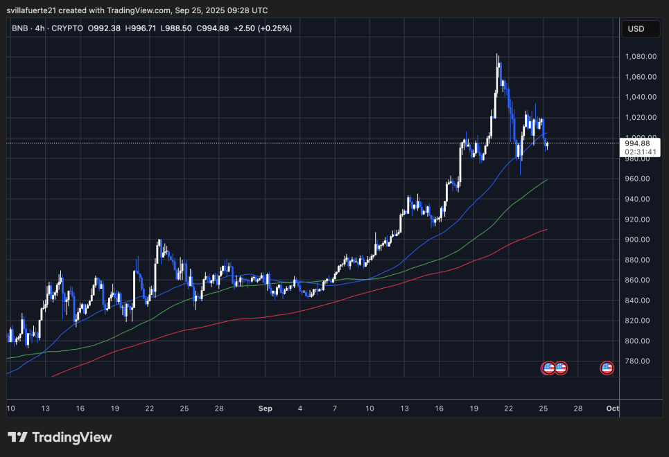 BNB consolidates around key level | Source: BNBUSDT chart on TradingView