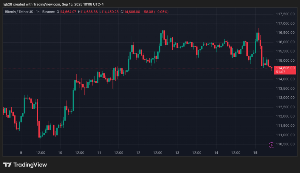 crypto, bitcoin, btc, btcusdt
