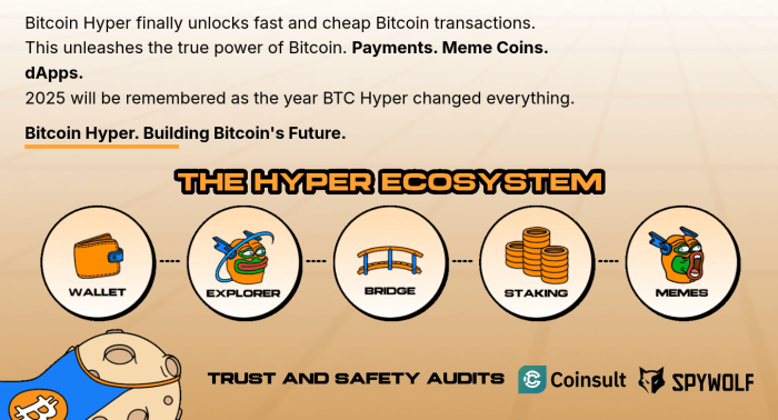 Bitcoin Hyper’s ecosystem in a nutshell.