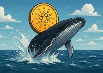 Crypto whales kopen massaal Cardano - ADA koers analyse na crypto crash
